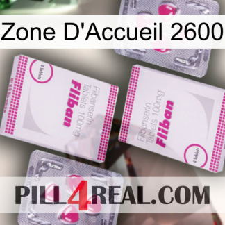Home Zone 2600 33